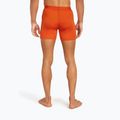 Труси термічні чоловічі icebreaker Anatomica fervid 4