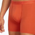 Чоловічі термошорти-боксер льодохід Anatomica fervid 5