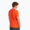 Футболка чоловіча icebreaker Merino 150 Tech Lite Bear Tour fervid 3
