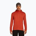 Чоловіча толстовка Merino 260 Quantum IV Zip Hoodie агатовий