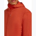 Чоловіча толстовка Merino 260 Quantum IV Zip Hoodie агатовий 8