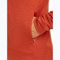 Чоловіча толстовка Merino 260 Quantum IV Zip Hoodie агатовий 9
