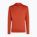 Чоловіча толстовка Merino 260 Quantum IV Zip Hoodie агатовий 10