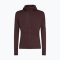 Чоловічий трекінговий світшот Icebreaker Merino 200 RealFleece Descender Zip Hoodie java з капюшоном 10