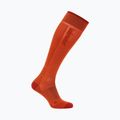 Чоловічі лижні шкарпетки icebreaker Merino Ski+ Ultralight OTC fervid/agate