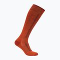 Шкарпетки гірськолижні чоловічі Icebreaker Merino Ski+ Medium OTC fervid/agate/java
