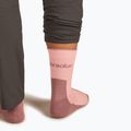 Шкарпетки жіночі icebreaker Merino Hike+ Light Crew blush/summit 5