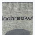 Шкарпетки жіночі icebreaker Merino Hike+ Light Crew 2 пари blizzar hthr/alloy 3