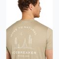 Футболка чоловіча icebreaker Merino 150 Tech Lite Peaceful Pass Tee flagstone 6