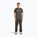 Футболка чоловіча icebreaker Merino 150 Tech Lite The Peaks obsigian 2