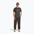 Футболка чоловіча icebreaker Merino 150 Tech Lite The Peaks obsigian 4