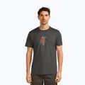 Футболка чоловіча icebreaker Merino 150 Tech Lite Bear Catch Tee obsidian