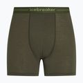 Труси термічні чоловічі icebreaker Anatomica dark loden