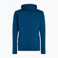 Кофта чоловіча icebreaker Merino 260 Quantum IV Zip Hoodie atlantis 10