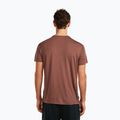 Футболка чоловіча icebreaker Merino Core Canoe Companions carob 3