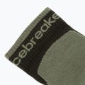 Шкарпетки чоловічі Icebreaker Merino Hike+ Light Mini dark loden/lichen 3