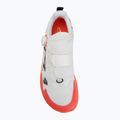 Кросівки для бігу Altra Timp 5 BOA white/red 5