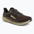Кросівки для бігу чоловічі Altra Torin 8 GTX brown