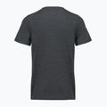 Футболка чоловіча Smartwool Lunar Bear Active SS Graphic Tee charcoal heather 2
