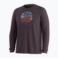 Лонгслів чоловічий Smartwool First Chair Pursuit Active LS mink heather 3