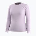 Кофта термоактивна жіноча Smartwool Merino 250 Baselayer Crew Boxed lavender sky heather 3