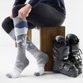 Шкарпетки лижні Smartwool Ski Full Cushion Chute the Moon OTC light gray 2