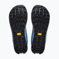 Кросівки для бігу чоловічі Altra Lone Peak 9+ victoria blue/gray 4
