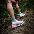 Кросівки для бігу чоловічі Altra Olympus 275 Hilo vaporous gray/fiery coral 6
