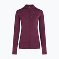 Кофта трекінгова жіноча Icebreaker Merino 300 Realfleece Descender Zip Hoodie dark berry 11