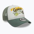 Бейсболка New Era Fruit Graphics Trucker ST. St. Louis Cardinals зелена пастель