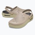 Шльопанці Crocs Inmotion Clog taupe 11