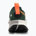 Кросівки для бігу чоловічі Nike Zegama 2 fir/desert ochre/college grey/sail 6