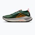 Кросівки для бігу чоловічі Nike Zegama 2 fir/desert ochre/college grey/sail 2