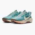 Кросівки для бігу жіночі Nike Pegasus Trail 5 cannon / soft pearl / mink brown 3