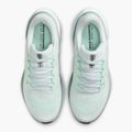 Кросівки для бігу жіночі Nike Pegasus 41 white / mint foam / pure platinum / cannon 14