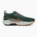 Кросівки для бігу чоловічі Nike Pegasus Trail 5 GORE-TEX fir/bright crimson/clay green 2