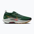 Кросівки для бігу чоловічі Nike Pegasus Trail 5 GORE-TEX fir/bright crimson/clay green