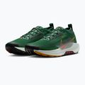 Кросівки для бігу чоловічі Nike Pegasus Trail 5 GORE-TEX fir/bright crimson/clay green 5