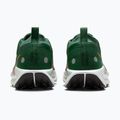 Кросівки для бігу чоловічі Nike Pegasus Trail 5 GORE-TEX fir/bright crimson/clay green 6