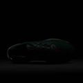 Кросівки для бігу чоловічі Nike Pegasus Trail 5 GORE-TEX fir/bright crimson/clay green 10