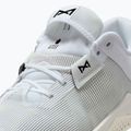 Чоловічі тренувальні кросівки Nike Metcon 10 white/platinum tint/black 9