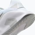 Жіночі тренувальні кросівки Nike Flex Train white/photon dust/metallic silver 9