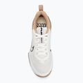 Кросівки для тренувань чоловічі Nike Air Max Alpha Trainer 6 sail/baroque brown/hemp/desert dust 5