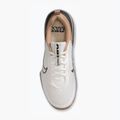 Кросівки для тренувань чоловічі Nike Air Max Alpha Trainer 6 sail/baroque brown/hemp/desert dust 6