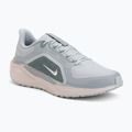 Кросівки для бігу чоловічі Nike Pegasus 41 GTX light pumice/pure platinum/silt red/metal silver