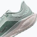 Чоловічі бігові кросівки Nike Pegasus 41 GTX light pumice/pure platinum/silt red/metal silver 9