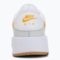 Кросівки чоловічі Nike Air Max SC white/photon dust/gold leaf 6