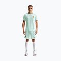 Футболка футбольна чоловіча Nike FFF 2026/27 Match Away igloo/monarch/monarch 2