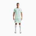 Шорти футбольні чоловічі Nike FFF 2026 Match Away Aero-FIT igloo/monarch/monarch 2