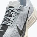 Кросівки для бігу чоловічі Nike Pegasus Plus pure platinum/wolf grey/sail/anthracite 9